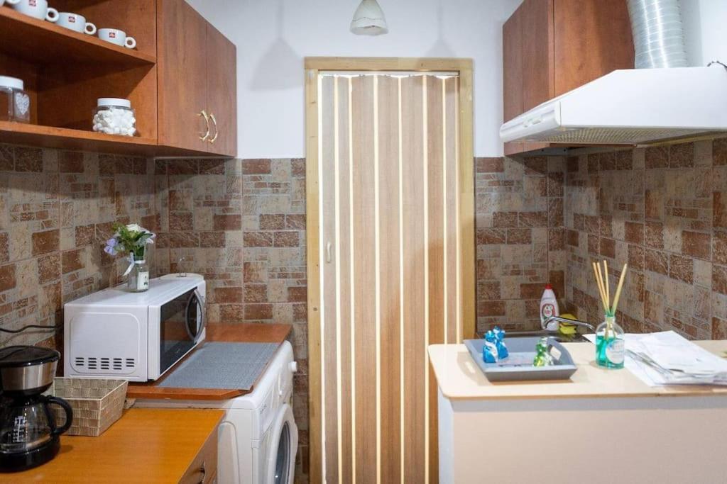 Friendly Little Studio Braşov Exterior foto